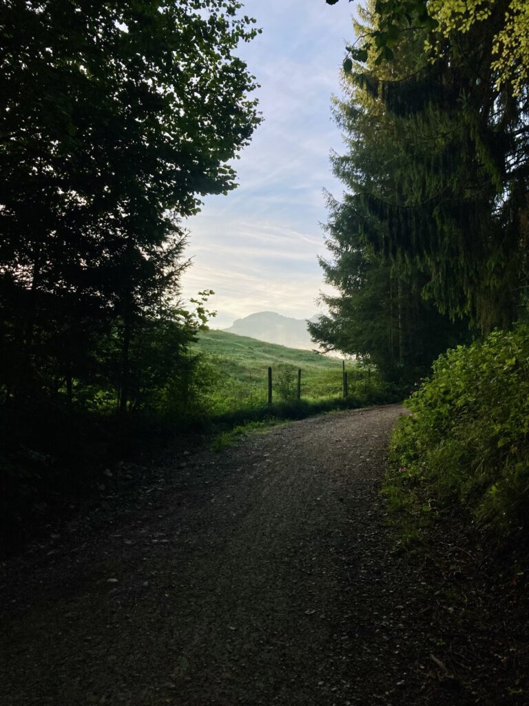 Waldweg in Bayern