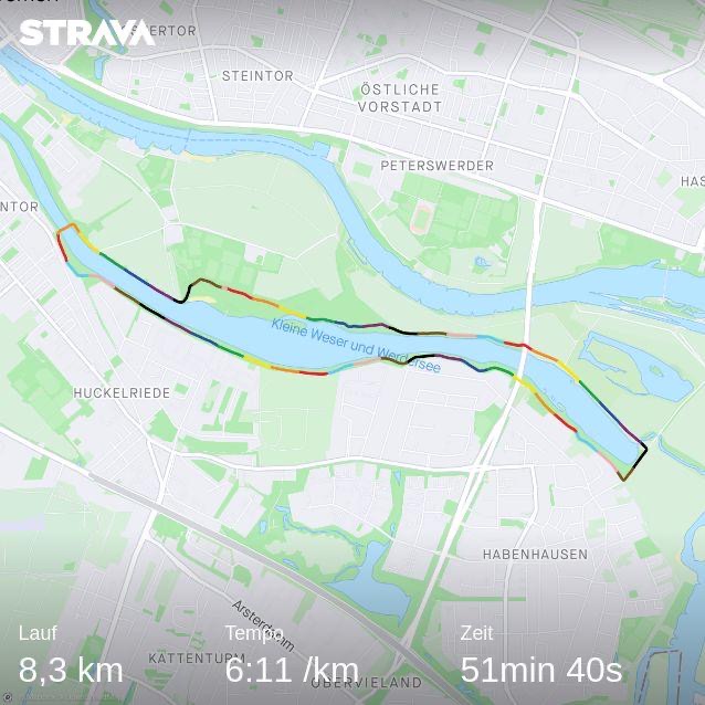 Strava Karte, die einen Wettkampf um den Werdersee in Bremen zeigt. Der Lauf war 8,3km mit einem Tempo von 6:11/km