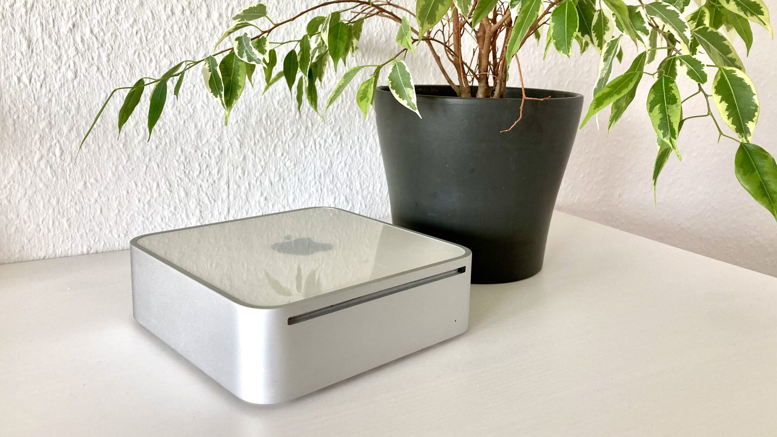 Ein weißer Mac mini auf einem Schrank unter einer Pflanze